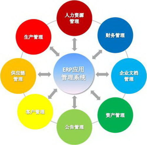 上海企業(yè)軟件開(kāi)發(fā) 機(jī)遇、挑戰(zhàn)與發(fā)展趨勢(shì)