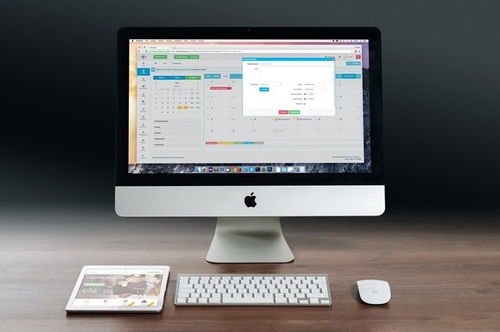 從概念到實施 深入解析App開發(fā)、定制開發(fā)與企業(yè)軟件構(gòu)建