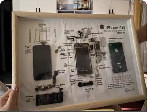 新興職業(yè)探秘 玩偶修復(fù)師、手機(jī)入殮師和貓糧品嘗師月入過萬的秘密